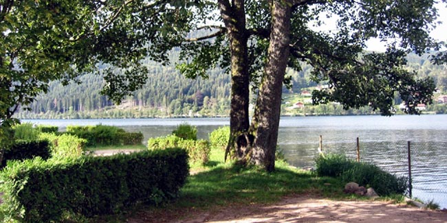 emplacement camping lac de Gerardmer